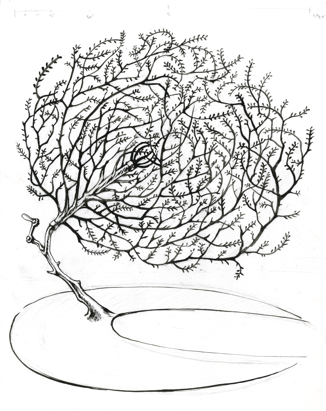 Dusty Heart concept drawing detail view